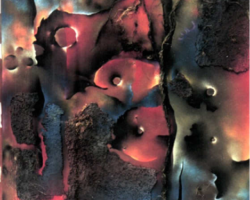 Prioridad de Naturaleza
1998
109 x 107 cm
Técnica Mixta
Serie Secreto de Naturaleza