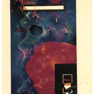 Universo Multicolor
1995
68 x 100 cm