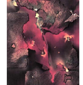 Movimientos del Corazón
1992
48 x 78 cm
Primer Salón Regional de 'Estudiantes de Artes Visuales. Premio: La Torre de Babel. Sana Fe 1993