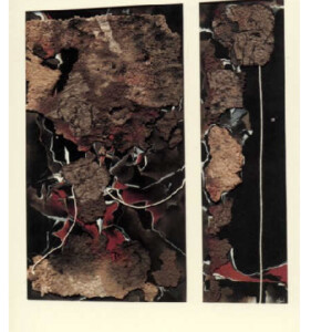 Tierras
1993
37 x 67 cm
19 x 67 cm
