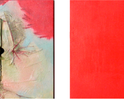 SN
2010
15x15 cm SN 2010 15x15 cm