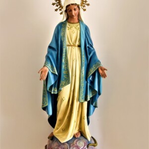 Virgen Inmaculada Concepcón
Año 2019