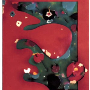 SN
1996
80 x 100 cm