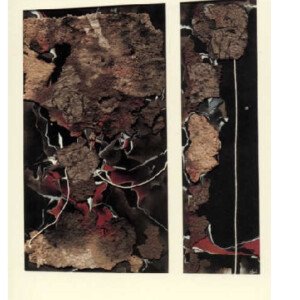 Tierras
1993
37 x 67 cm
19 x 67 cm