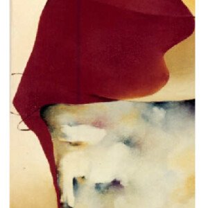Sull Fillo Della Rovina 1996 20 x 30 cm